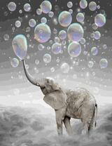 Слон и мыльные пузыри