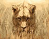 Притаившаяся в траве львица