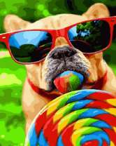 Пес с цветным леденцом