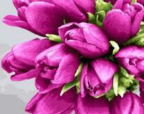 Ярко-розовый букет тюльпанов