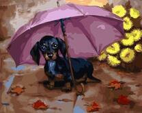 Щенок таксы под зонтом