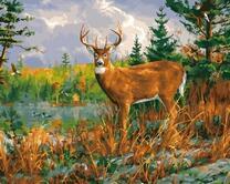 Олень у летнего озера