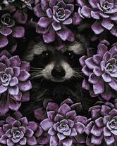 Енот в фиолетовых цветочках
