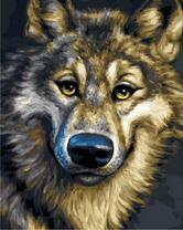 Веселая улыбка волка