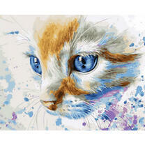 Нежный взгляд котенка