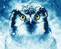 Сова в снегу