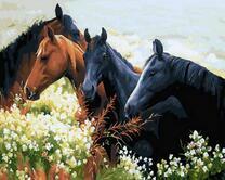 Четыре лошади на цветочном лугу