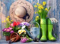 Дачный натюрморт с цветами