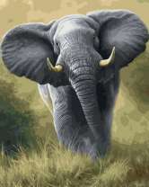 Весёлый бег слона