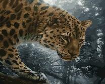 Леопард охотится в сумерках