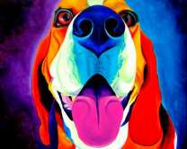 Яркий бигль