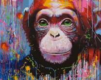 Забавный шимпанзе