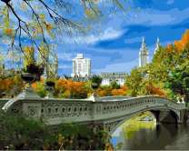 Красочный мост в городском парке