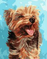 Йоркширский терьер улыбается