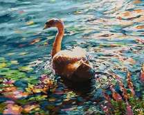 Красивый белый лебедь на озере