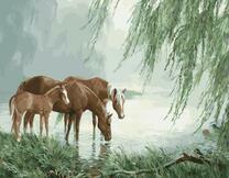 Лошади у туманного озера