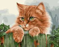 Рыжий кот на деревенском заборе