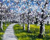 Тропинка среди цветущих яблонь