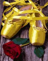 Роза и пуанты балерины