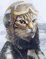 Серьезный кот летчик