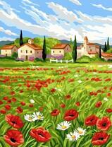 Поле с маками и ромашками у деревни