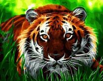 Тигр среди зеленой травки