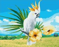 Белый попугай на цветущей ветке