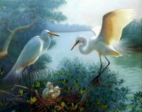 Пара журавлей с птенцами в гнезде