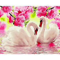 Белые лебеди под цветущими розами