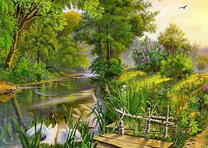 Прекрасная природа и журавли