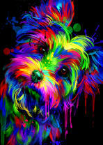 Болонка в стиле поп-арт