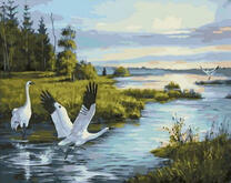 Журавли над утренним туманом