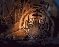 Отдыхающий тигр