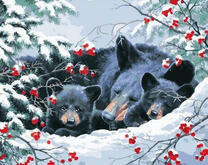 Семейство черных медведей спит на снегу