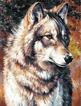 Задумчивый серый волк