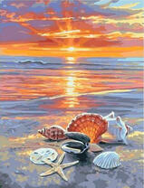 Ракушке на берегу с видом на заход солнца