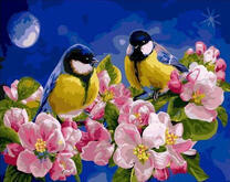 Синички на фоне ночного неба