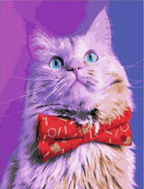 Котик с красной бабочкой