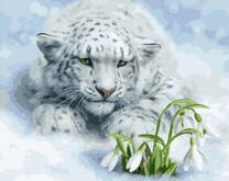 Снежный барс и подснежники