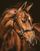 Грациозная лошадь