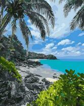 Вид на райский пляж