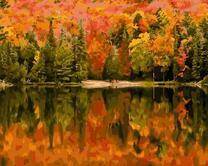 Сочный осенний пейзаж