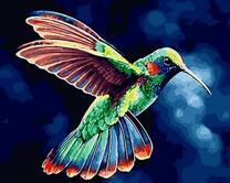 Колибри на синем фоне