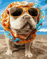 Стильный бульдожек на пляже