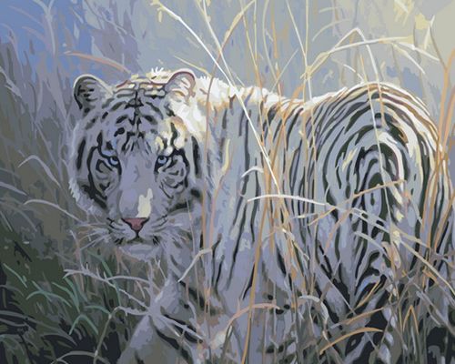 Картина по номерам 40x50 Белый тигр в сухой траве