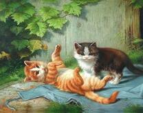 Игривые котята