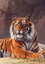 Большой тигр