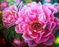 Пышный бутон цветущей розы