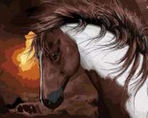 Гордый жеребец на фоне солнца