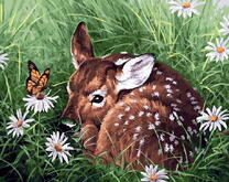 Олененок в траве и ромашках